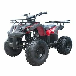 SYX MOTO store 5 Cheap ???? X-PRO 125cc ATV 4 Wheels Wheelers Quad 125 ATV Quads With LED Lights, Big 19"/18" Tires!(Burgundy) ????
