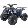 Budget ???? X-PRO ATV 4 Wheelers For Sale 125cc ATV Quad Four Wheelers Youth ATV 4 Wheelers With Remote Control(Blue) ???? -SYX MOTO store 41VdQSyuieL