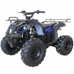 Budget ???? X-PRO ATV 4 Wheelers For Sale 125cc ATV Quad Four Wheelers Youth ATV 4 Wheelers With Remote Control(Blue) ????