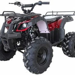 Budget ???? X-PRO ATV 4 Wheelers For Sale 125cc ATV Quad Four Wheelers Youth ATV 4 Wheelers With Remote Control(Blue) ???? -SYX MOTO store 51FiANAFd L. AC