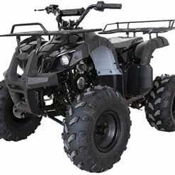 Best deal ???? X-PRO 125cc ATV With Automatic Transmission W/Reverse, Big 19"/18" Tires! (Burgundy, Factory Package) ???? -SYX MOTO store 51TjAeGCyxL. AC