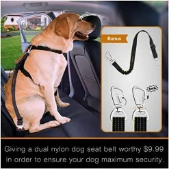 Budget ???? IBuddy ???? Dog Car Seat Covers For Back Seat Of Cars/Trucks/SUV, Waterproof ???? Dog Car Hammock With Mesh Window, Side Flaps And ???? Dog Seat Belt, Durable Anti-Scratch Nonslip Machine Washable Pet Car Seat Cover Gra ❤️ -SYX MOTO store 51lUlNFDqLL